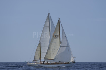 VVP_2023-07712.jpg