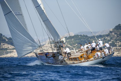 A29X1692.jpg