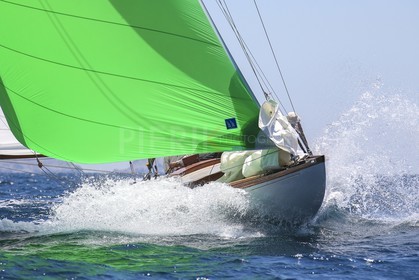 A29X9138.jpg