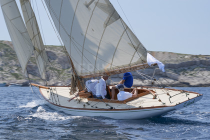 VVP_2023-07527.jpg