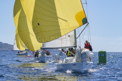 SNIM23_Pierik-08167.jpg