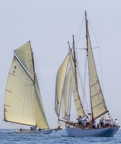 A29X7562.jpg