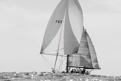 O60A7335.jpg