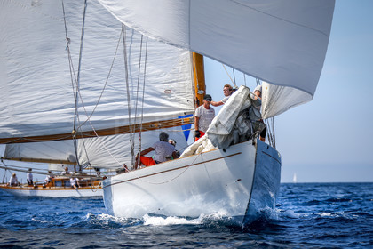 A29X4845.jpg