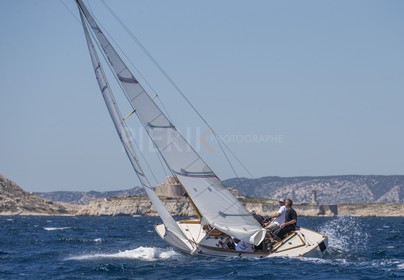A29X8104.jpg