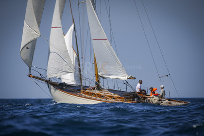 A29X9957.jpg