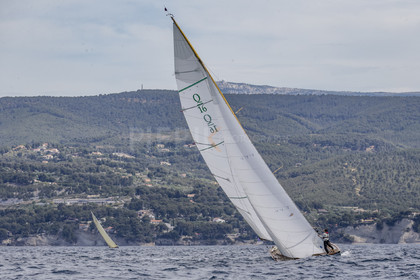A29X9572.jpg