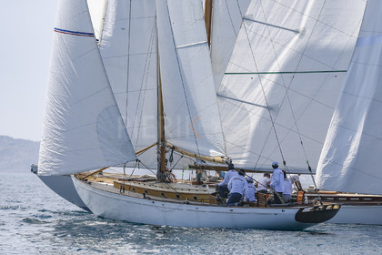 A29X2443.jpg