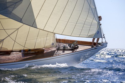 A29X9425.jpg
