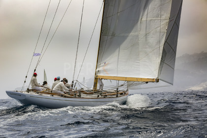 O60A2264.jpg