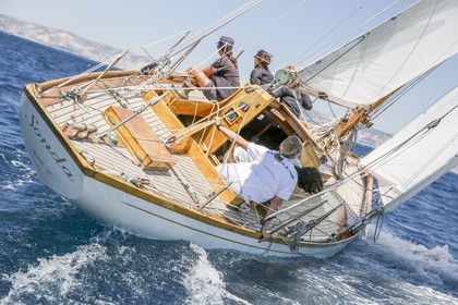 O60A8950.jpg