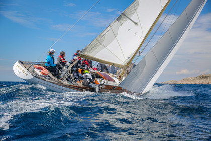 O60A8692.jpg