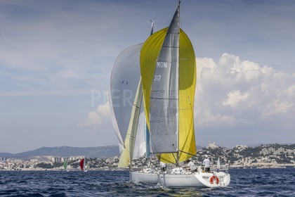 A29X0141.jpg