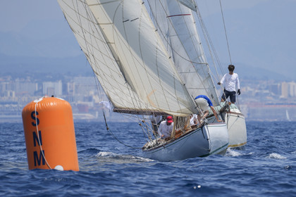 VVP_2023-07797.jpg