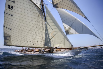A29X9094.jpg