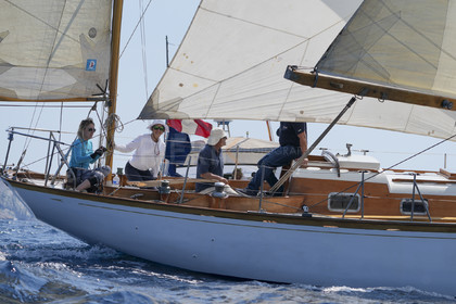 VVP_2023-01294.jpg