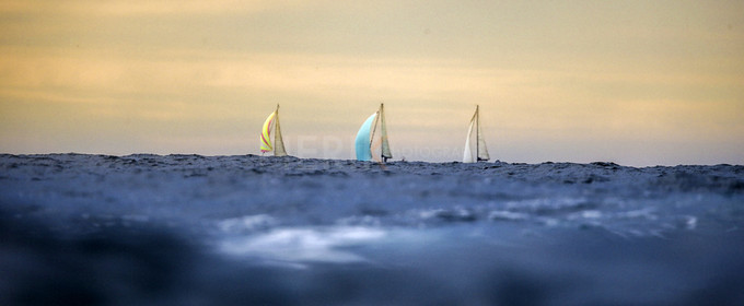 VireVire2014-290.jpg