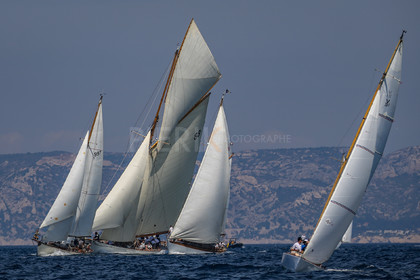 A29X1450.jpg