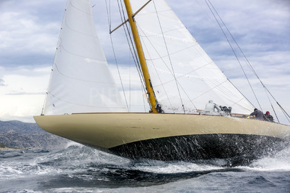 O60A2014.jpg