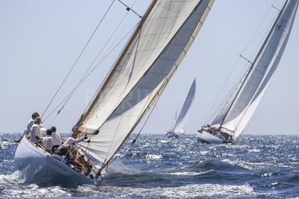 A29X6505.jpg