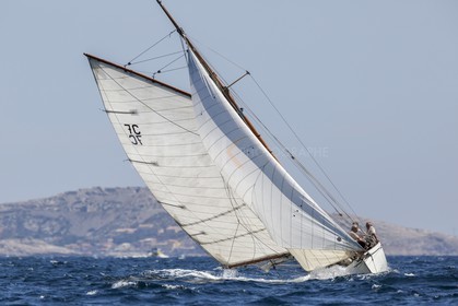 O60A0480.jpg