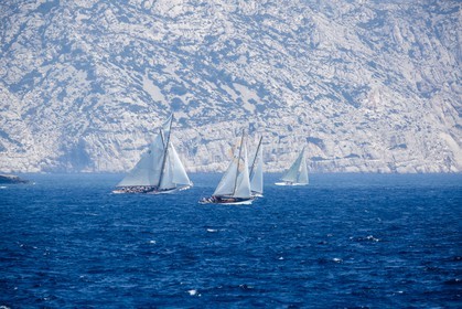 _60A1636.jpg
