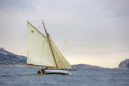 VireVire2014-239.jpg