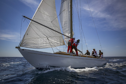 O60A0277.jpg