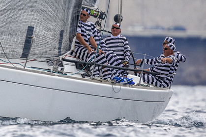 VireVire2014-60.jpg