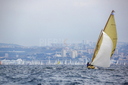 VireVire2014-222.jpg