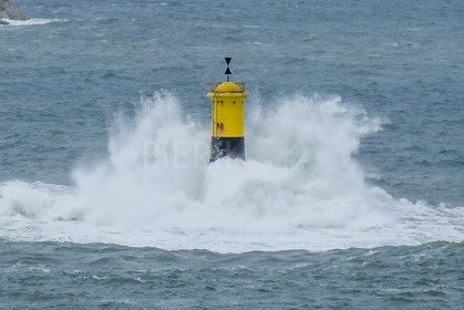 IMG_3620.jpg
