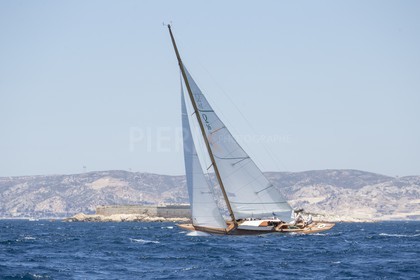 A29X8115.jpg