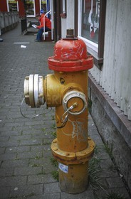 DSCN5679-Modifier.jpg