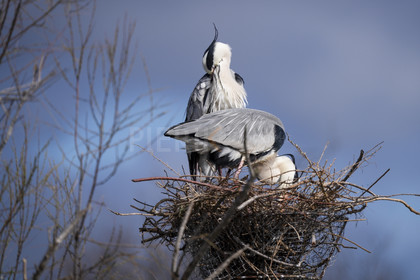 DSC02857-Pierik.jpg