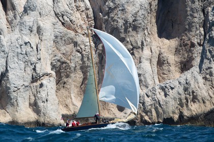 Windhover dans les calanques