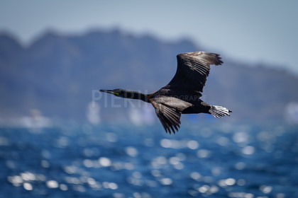 SNIM_J3 2022-03290.jpg