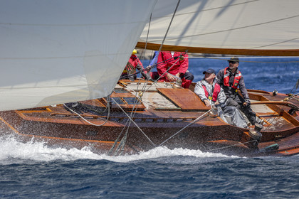 O60A1648.jpg