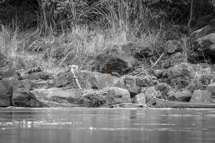 17122013-BL6A2165.jpg