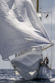 A29X1548.jpg