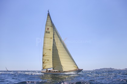 A29X9240.jpg