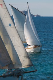 AZ0T8820.jpg