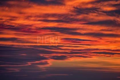 IMG_3583.jpg