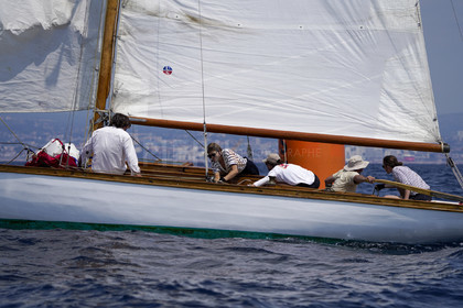VVP_2023-7875.jpg