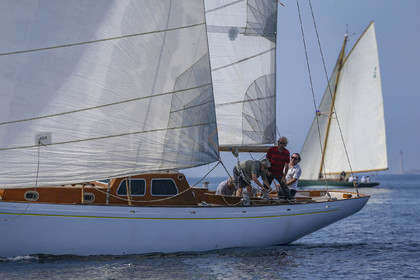 A29X2500.jpg