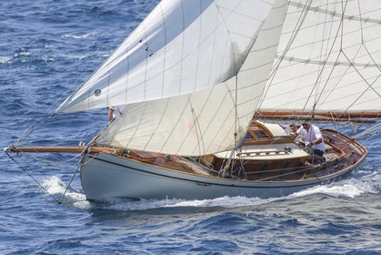 O60A1507.jpg