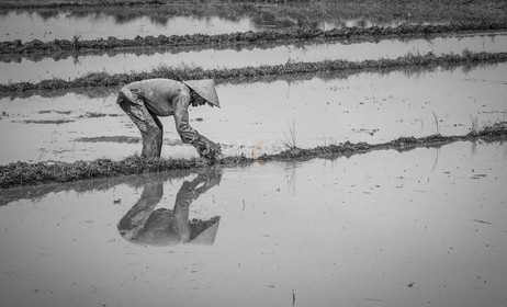 Hoi An-15.jpg