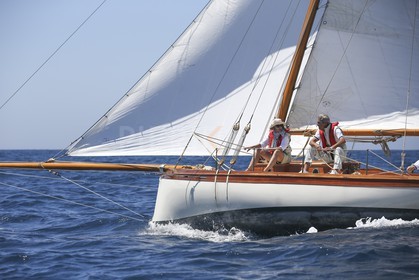 A29X6600.jpg