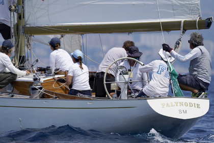 VVP_2023-7701.jpg