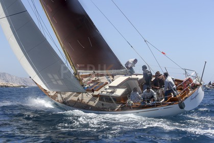 A29X6646.jpg