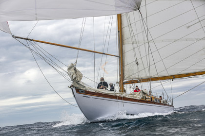 O60A1649.jpg